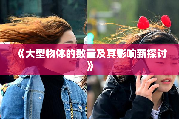 《大型物体的数量及其影响新探讨》