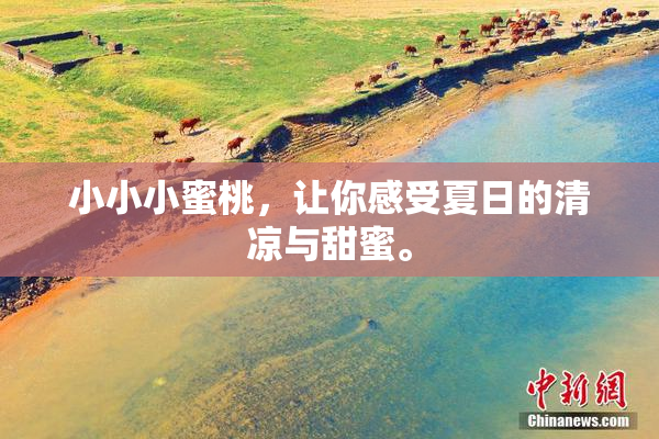 小小小蜜桃，让你感受夏日的清凉与甜蜜。