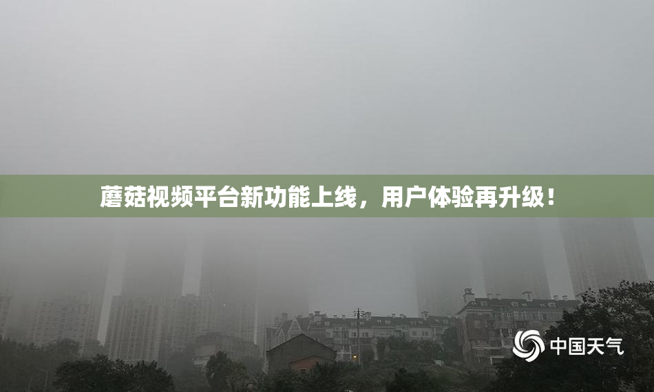 蘑菇视频平台新功能上线，用户体验再升级！