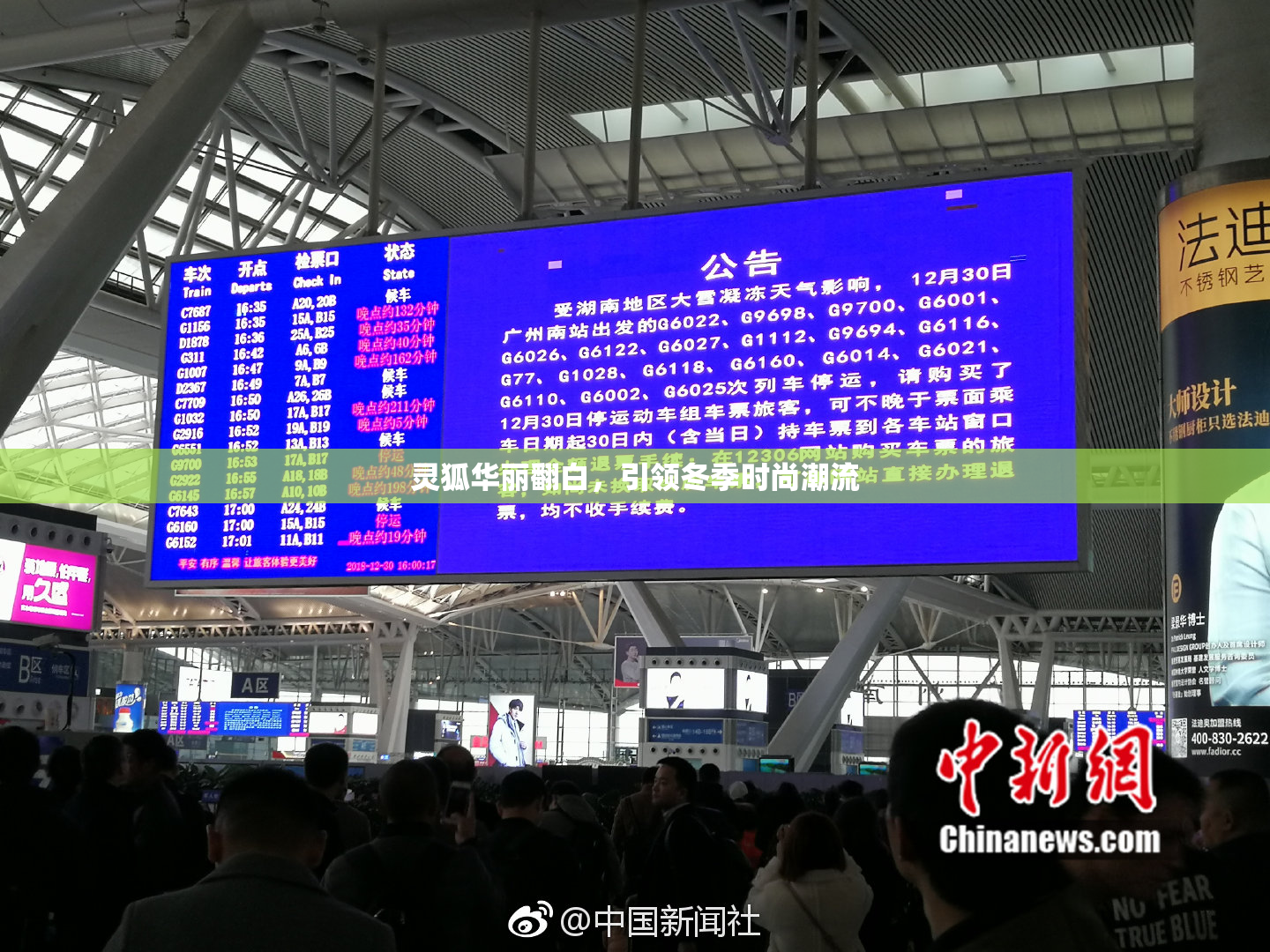 灵狐华丽翻白，引领冬季时尚潮流
