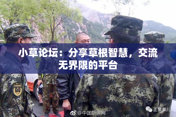 小草论坛：分享草根智慧，交流无界限的平台