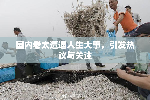 国内老太遭遇人生大事，引发热议与关注