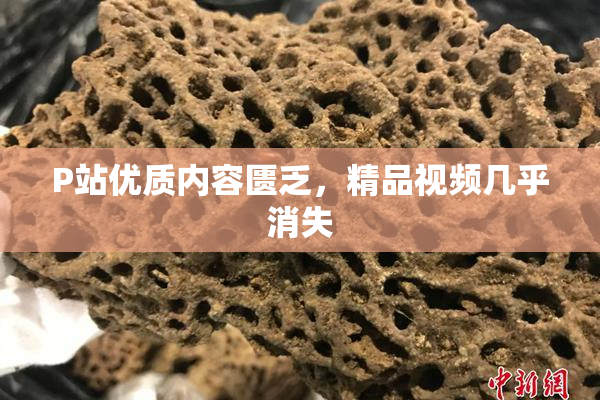 P站优质内容匮乏，精品视频几乎消失