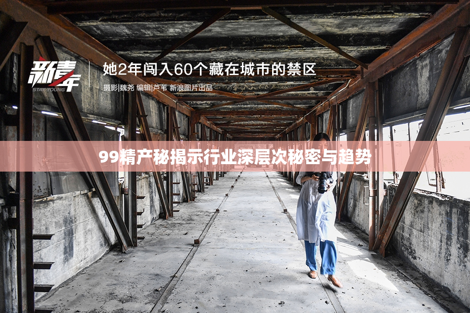 99精产秘揭示行业深层次秘密与趋势