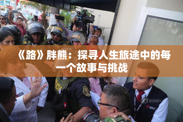 《路》胖熊：探寻人生旅途中的每一个故事与挑战