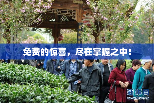 免费的惊喜，尽在掌握之中！