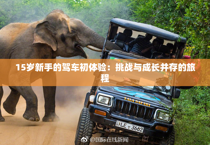 15岁新手的驾车初体验：挑战与成长并存的旅程