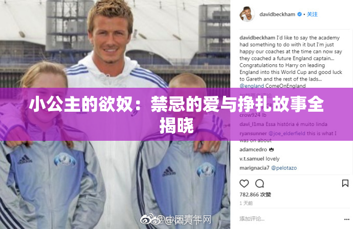 小公主的欲奴：禁忌的爱与挣扎故事全揭晓