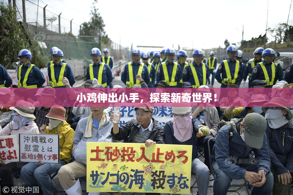 小鸡伸出小手，探索新奇世界！