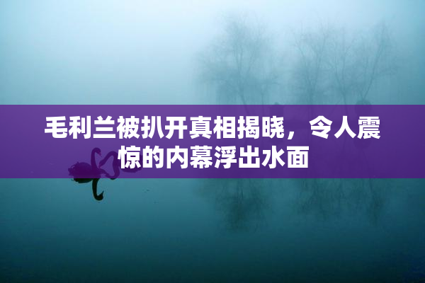 毛利兰被扒开真相揭晓，令人震惊的内幕浮出水面