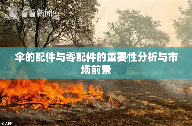 伞的配件与零配件的重要性分析与市场前景