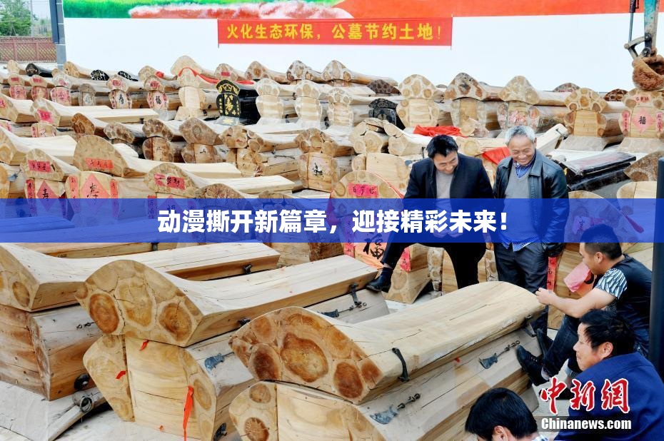 动漫撕开新篇章，迎接精彩未来！