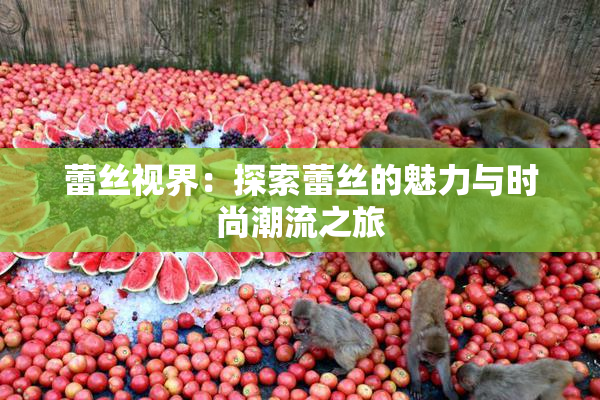 蕾丝视界：探索蕾丝的魅力与时尚潮流之旅