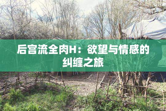 后宫流全肉H：欲望与情感的纠缠之旅