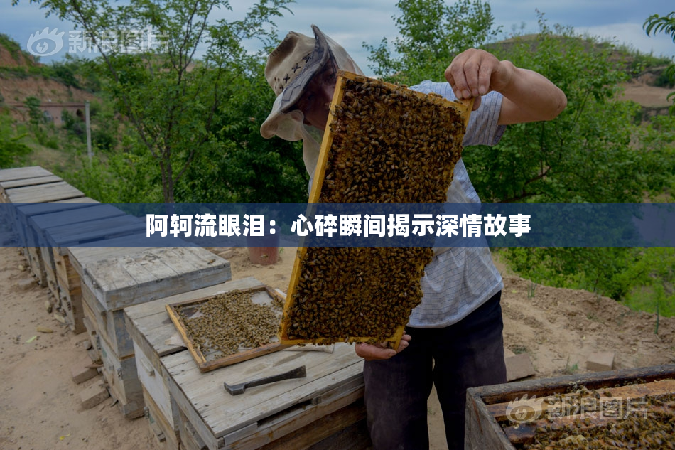 阿轲流眼泪：心碎瞬间揭示深情故事