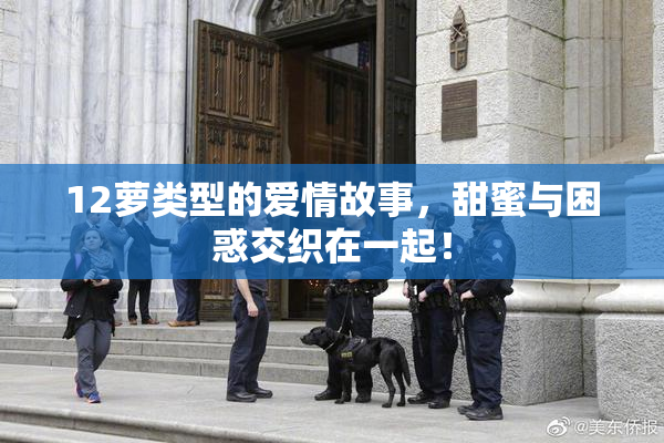 12萝类型的爱情故事，甜蜜与困惑交织在一起！