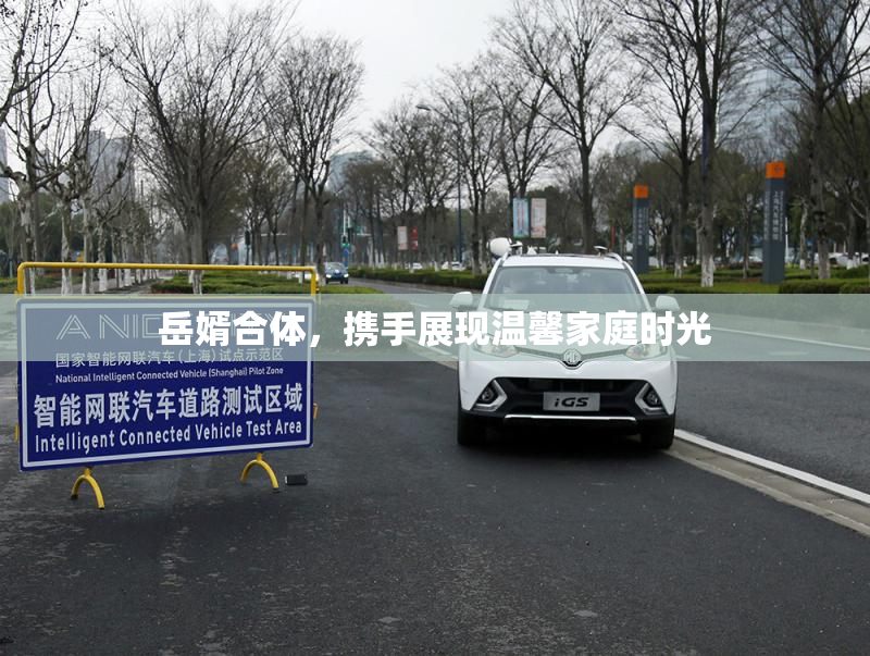 岳婿合体，携手展现温馨家庭时光
