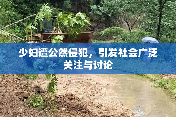 少妇遭公然侵犯，引发社会广泛关注与讨论