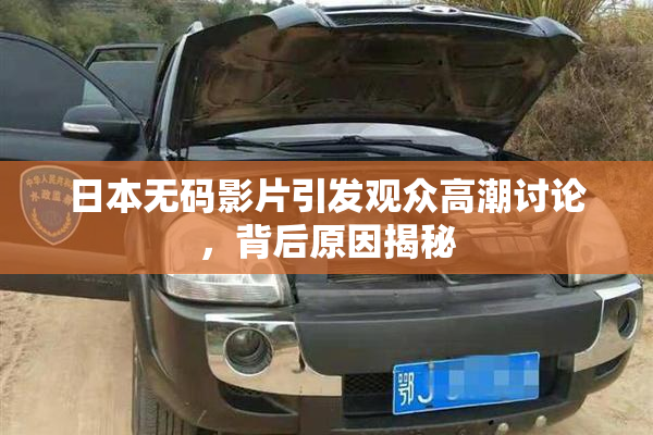 日本无码影片引发观众高潮讨论，背后原因揭秘
