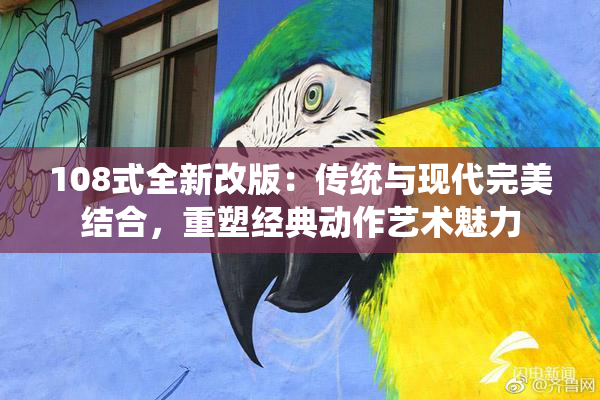 108式全新改版：传统与现代完美结合，重塑经典动作艺术魅力