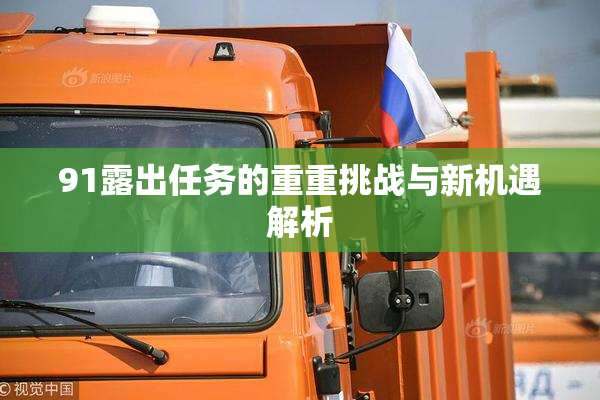 91露出任务的重重挑战与新机遇解析