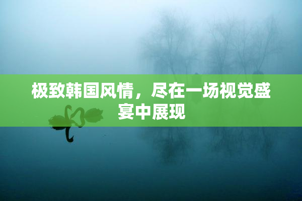 极致韩国风情，尽在一场视觉盛宴中展现