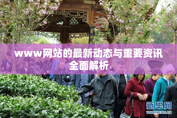 www网站的最新动态与重要资讯全面解析