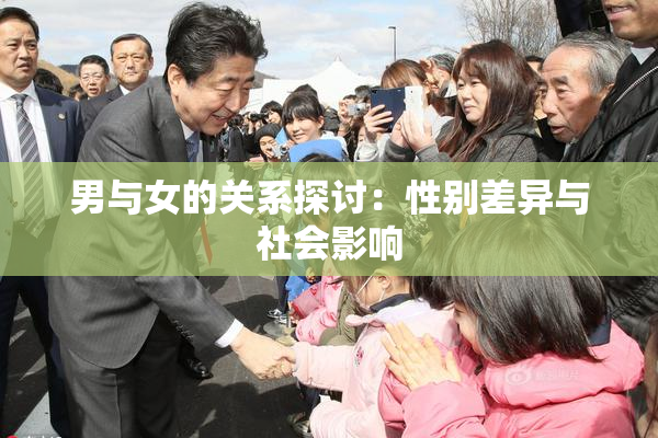 男与女的关系探讨：性别差异与社会影响