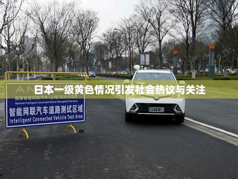 日本一级黄色情况引发社会热议与关注