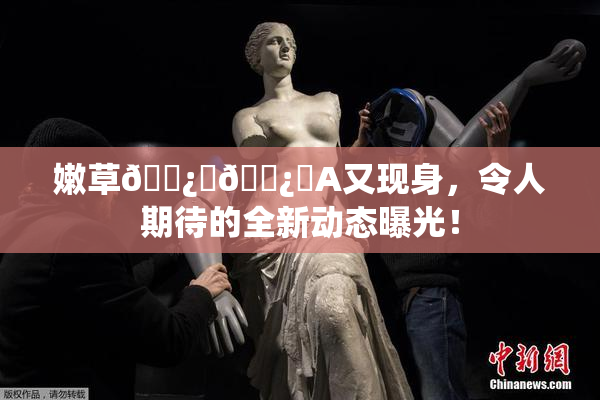 嫩草🌿‌🌿‌A又现身，令人期待的全新动态曝光！