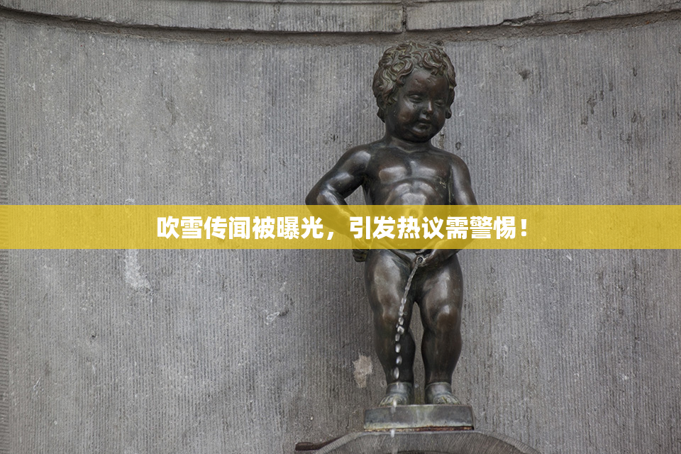 吹雪传闻被曝光，引发热议需警惕！