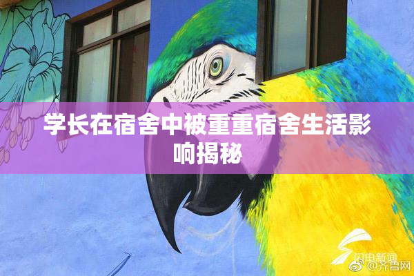 学长在宿舍中被重重宿舍生活影响揭秘
