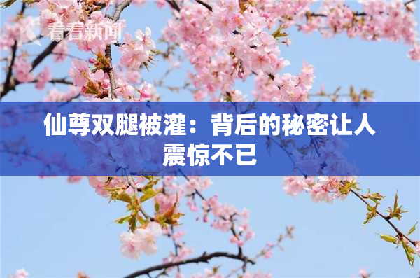 仙尊双腿被灌：背后的秘密让人震惊不已
