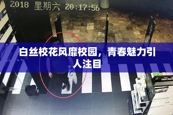 白丝校花风靡校园，青春魅力引人注目
