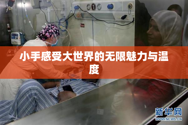 小手感受大世界的无限魅力与温度