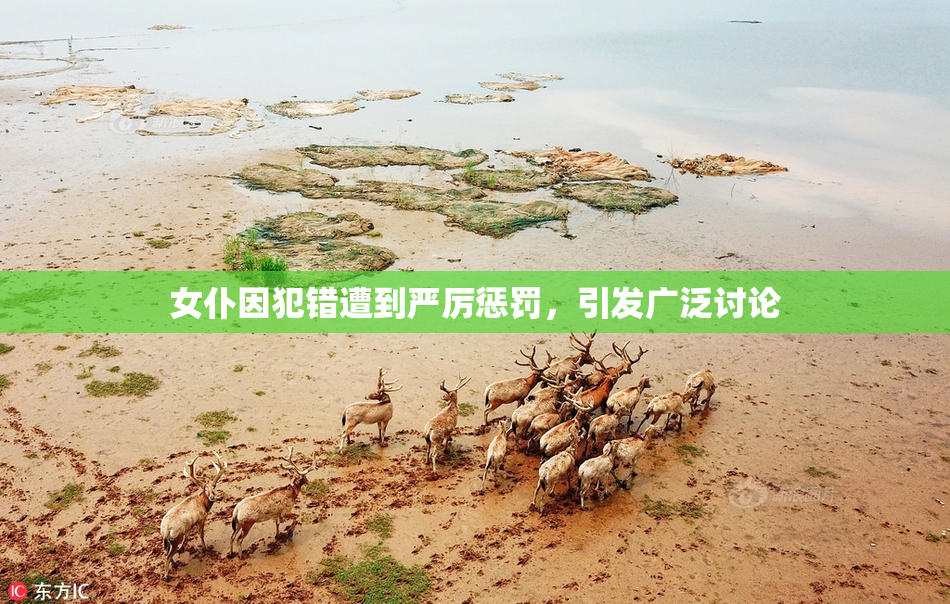 女仆因犯错遭到严厉惩罚，引发广泛讨论