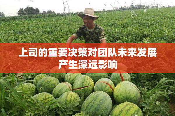 上司的重要决策对团队未来发展产生深远影响
