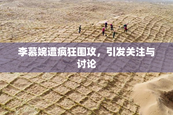 李慕婉遭疯狂围攻，引发关注与讨论