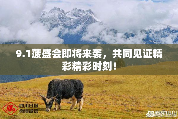 9.1菠盛会即将来袭，共同见证精彩精彩时刻！