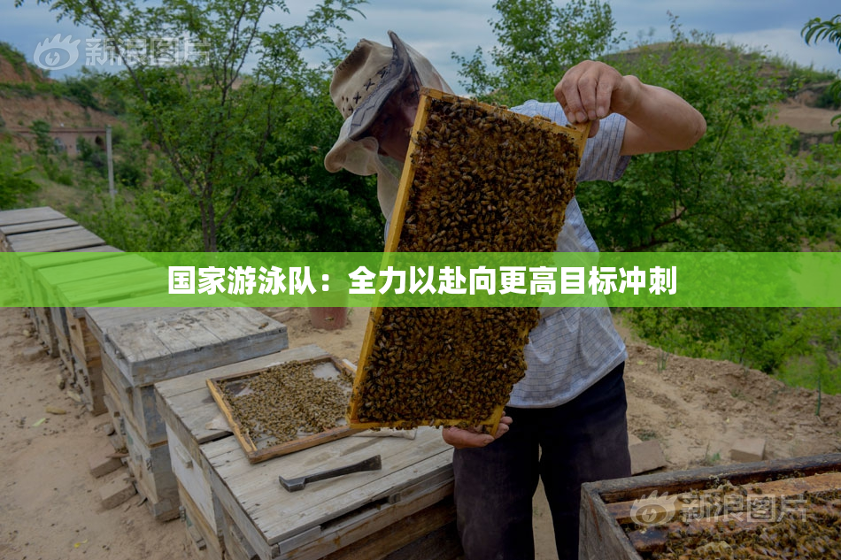 国家游泳队：全力以赴向更高目标冲刺