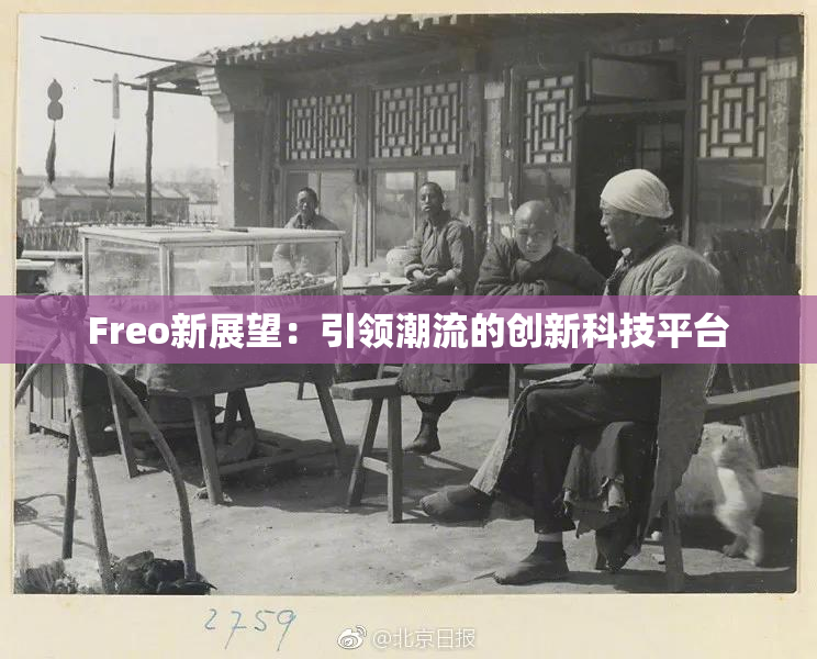 Freo新展望：引领潮流的创新科技平台