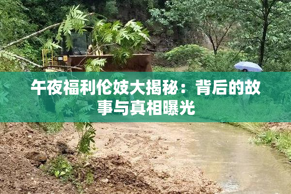 午夜福利伦妓大揭秘：背后的故事与真相曝光