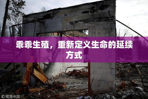 乖乖生殖，重新定义生命的延续方式