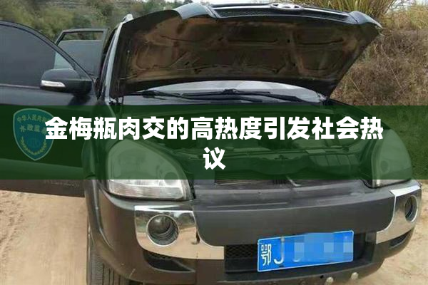 金梅瓶肉交的高热度引发社会热议