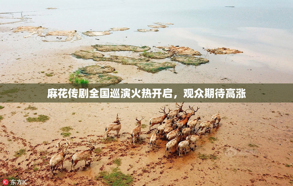 麻花传剧全国巡演火热开启，观众期待高涨
