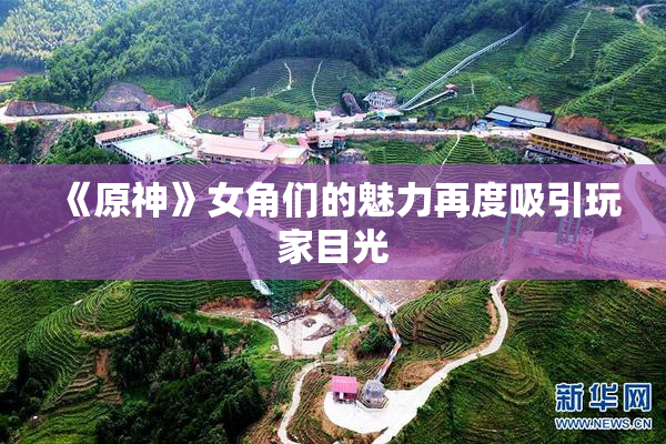 《原神》女角们的魅力再度吸引玩家目光