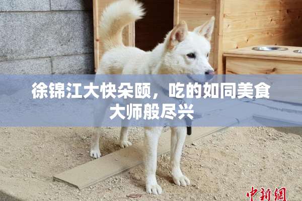 徐锦江大快朵颐，吃的如同美食大师般尽兴