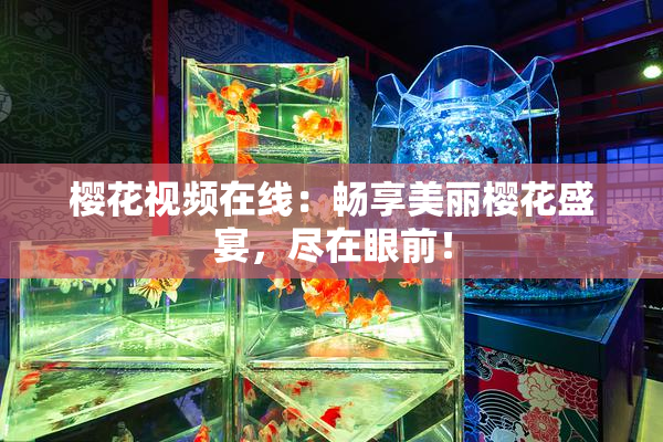 樱花视频在线：畅享美丽樱花盛宴，尽在眼前！