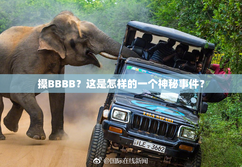 搡BBBB？这是怎样的一个神秘事件？