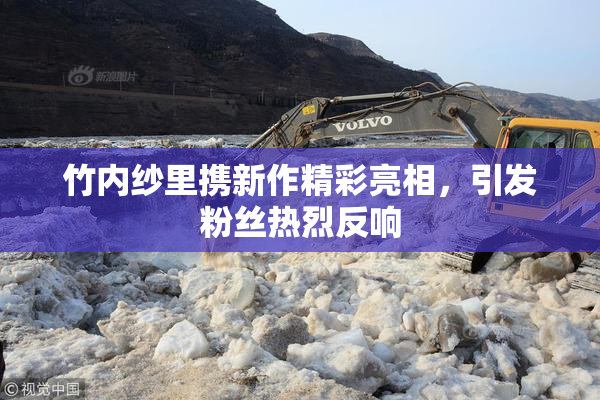 竹内纱里携新作精彩亮相，引发粉丝热烈反响
